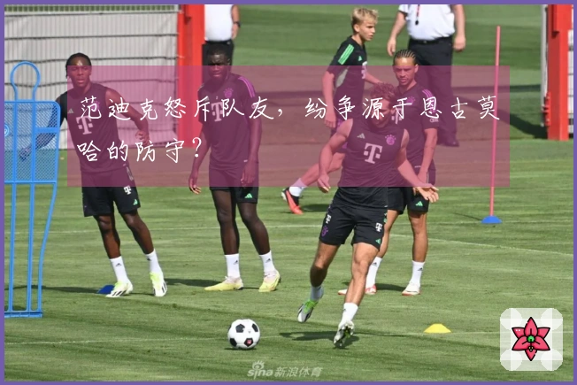 范迪克怒斥队友，纷争源于恩古莫哈的防守？