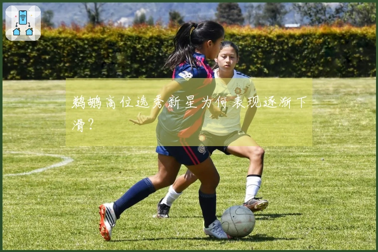 鹈鹕高位选秀新星为何表现逐渐下滑？