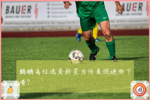 鹈鹕高位选秀新星为何表现逐渐下滑？