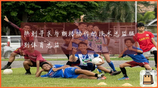 热刺寻求与朗格协作的技术总监级别体育总监